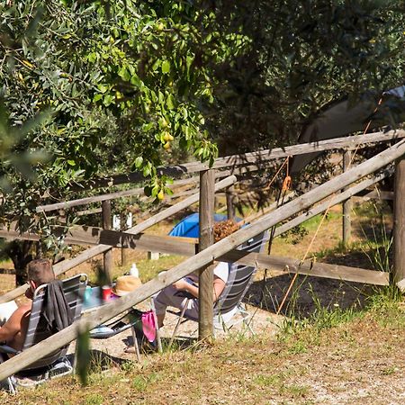 Blucamp Natural Village Campiglia Marittima Luaran gambar