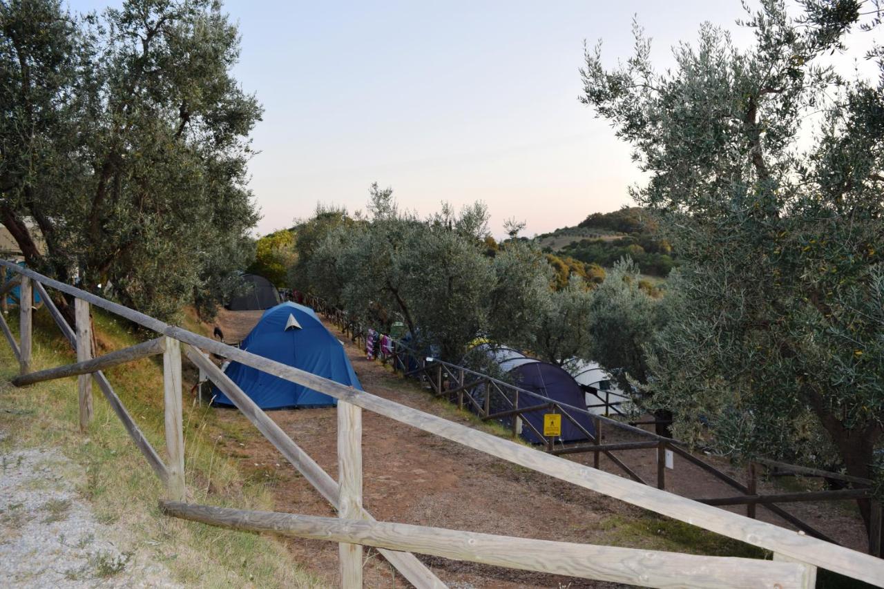Blucamp Natural Village Campiglia Marittima Luaran gambar