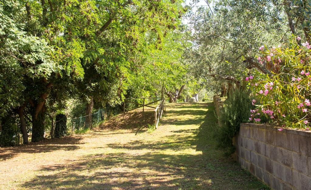 Blucamp Natural Village Campiglia Marittima Luaran gambar